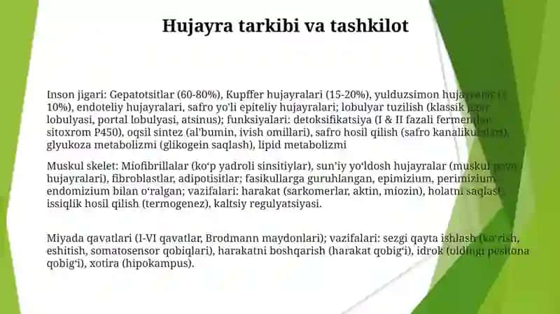 Tam bilish azosining morfofunksional tasnifi 3