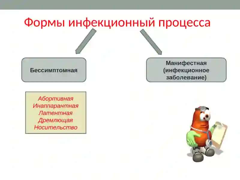 Инфекционный процесс 3