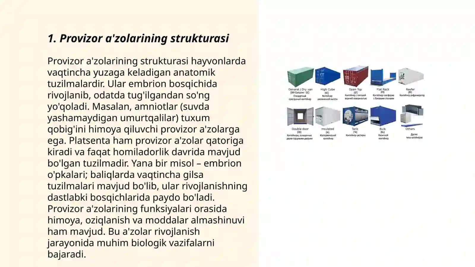 Provizor a'zolar tuzilishi va ahamiyati 3
