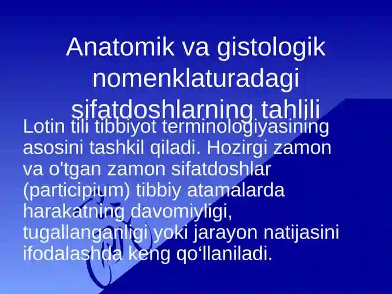 Anatomik va gistologik nomenklaturalarida qo'llaniladigan hozirgi zamon sifatdoshining aniqlik nisbati 3