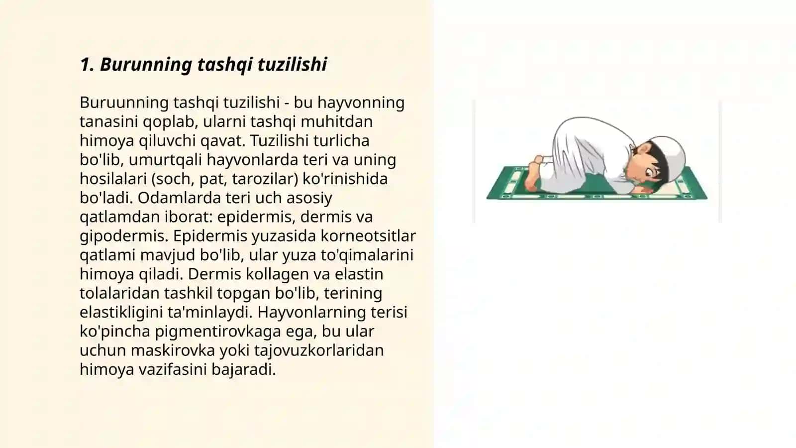 Burun, halqum va hiqildoqning anatomo -fiziologik xususiyatlari 3