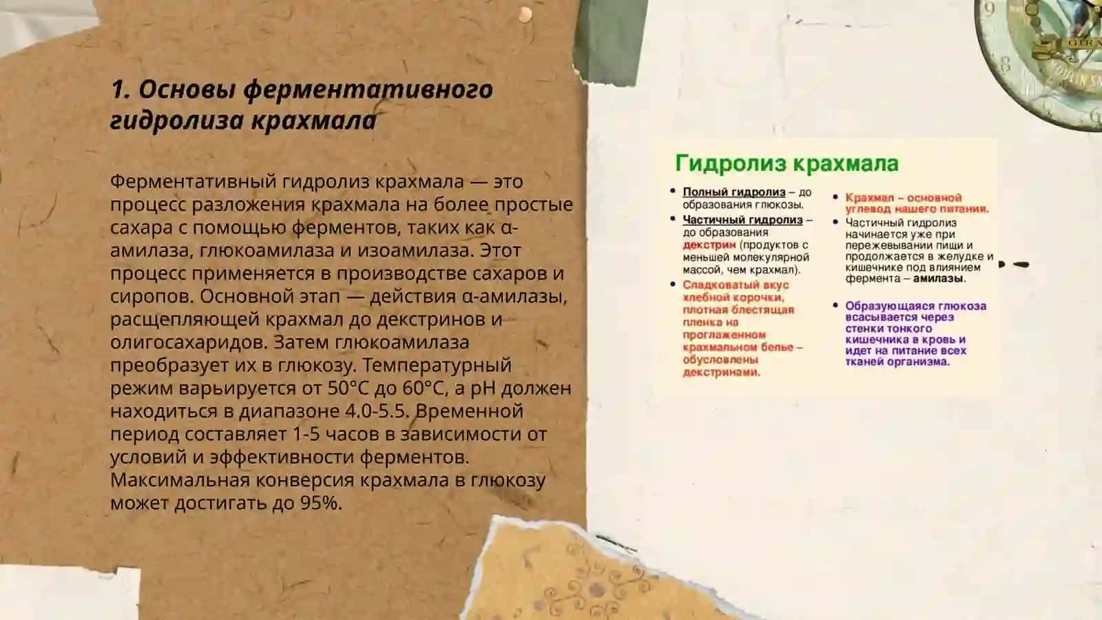 Ферментативный гидролиз крахмала 3