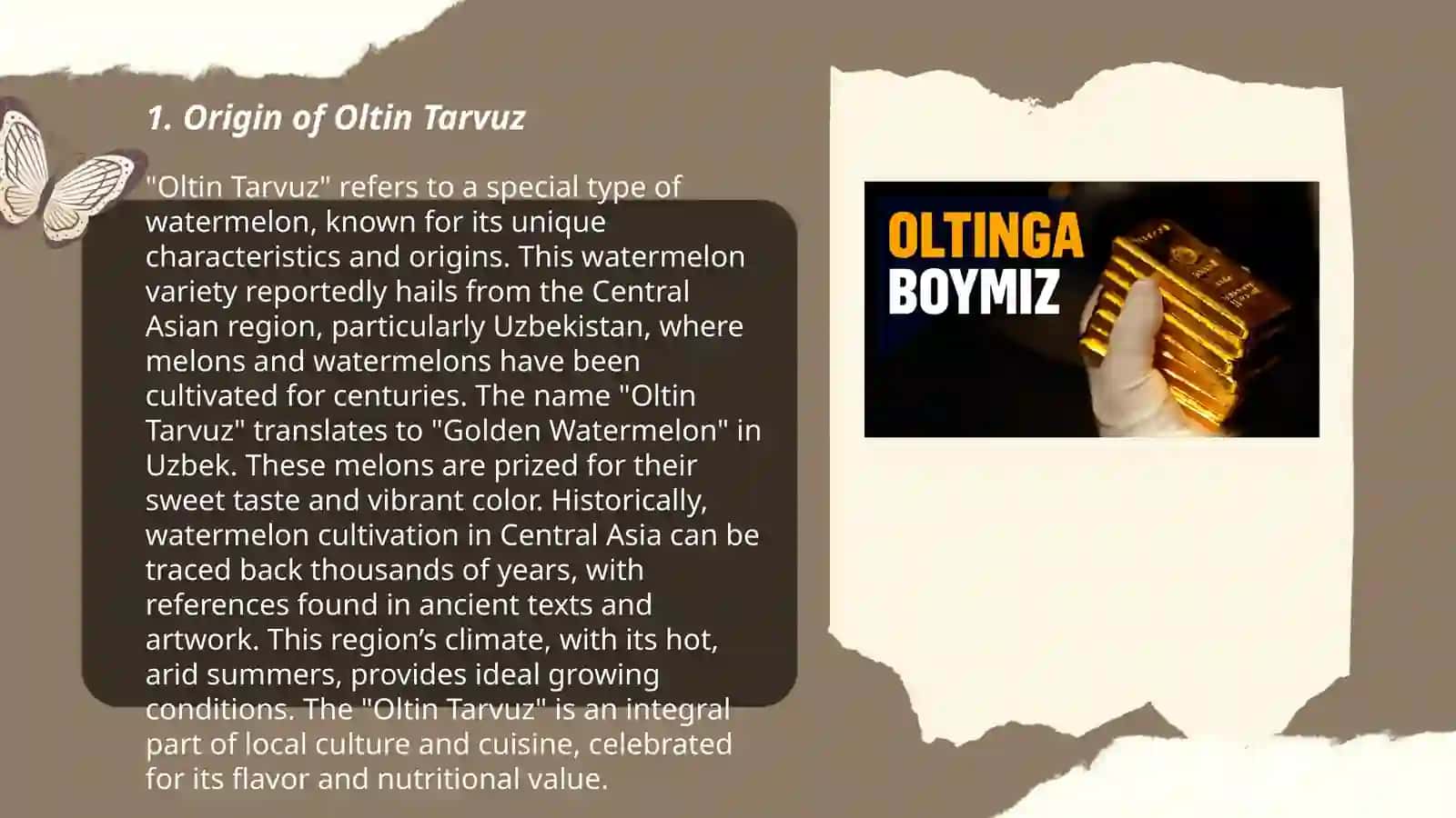 Oltin Tarvuz 3