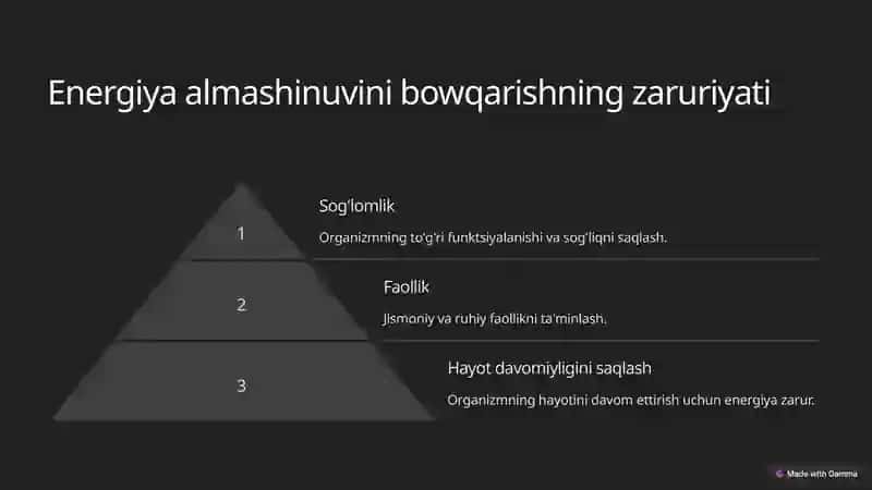 Energiya almashinuvini bowqarilishi 3