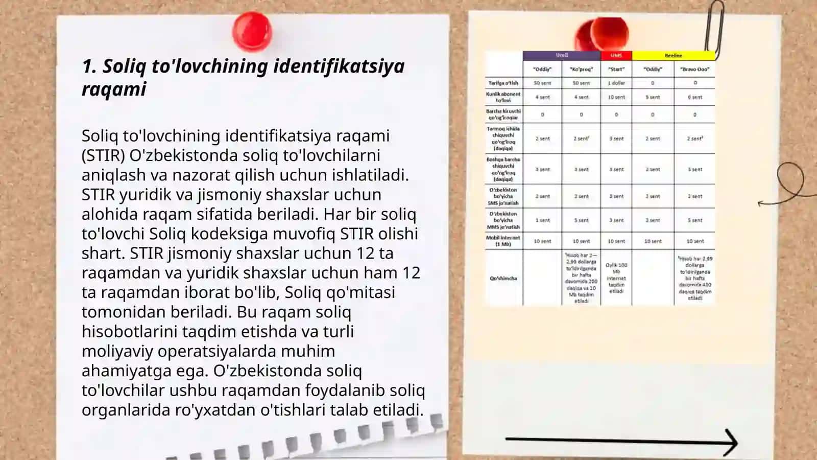 Soliq to'lovchi to'grisidagi hisob ma'lumotlari 3