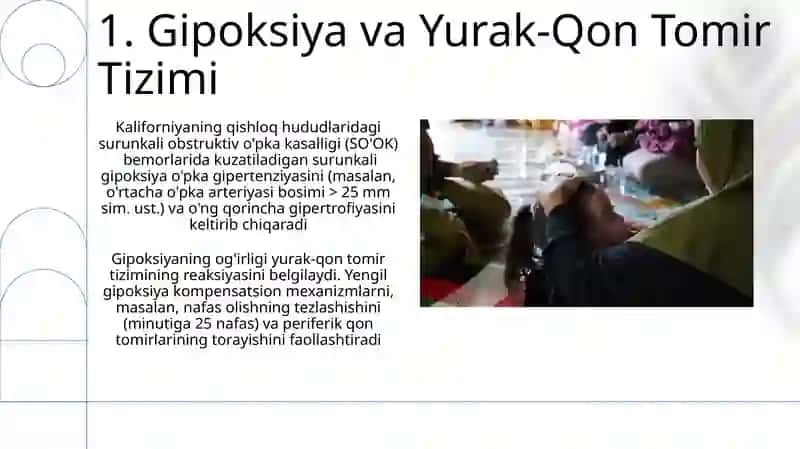 Gipoksiya turlari va axamiyati 3