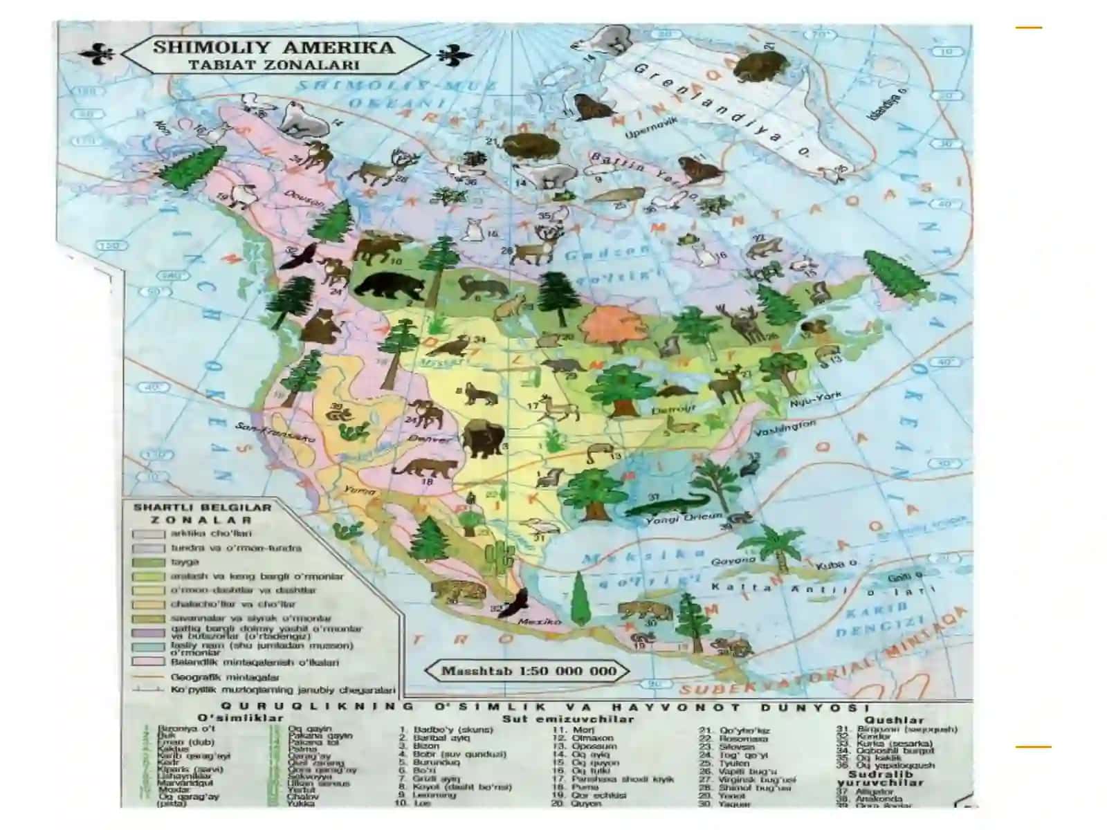 Qutbiy mintaqatuproqlari(Arktika, tundra va o’rmon tundra) 3