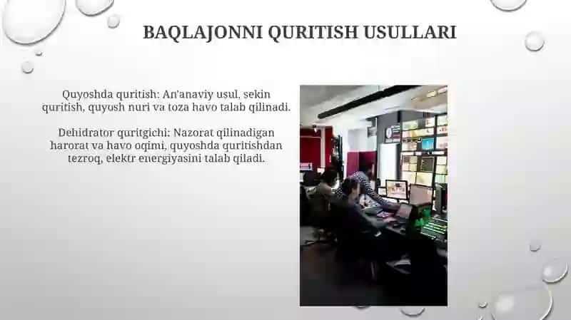 Baqlajonni Quritish Usullari 3