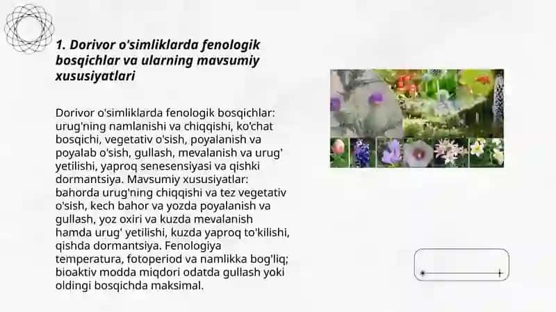 Dorivor osimliklarni mavsumiy rivojlanishi 3