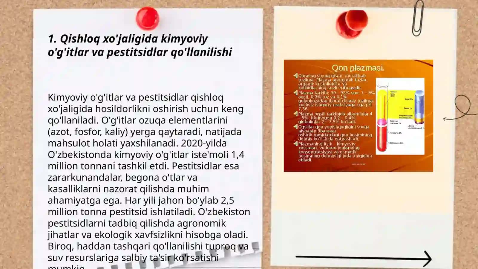 Qishloq xo'jaligida kimyoviy o'g'itlar va pestitsidlar qo'llanilishi 3