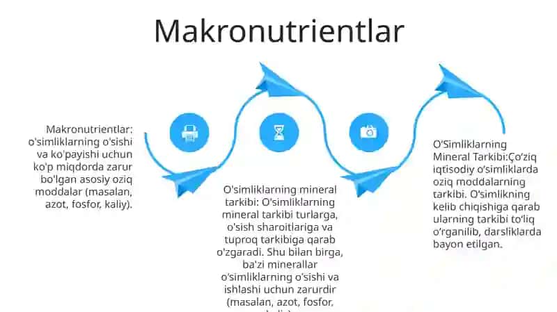 OʻSimliklarning Mineral Tarkibi 3