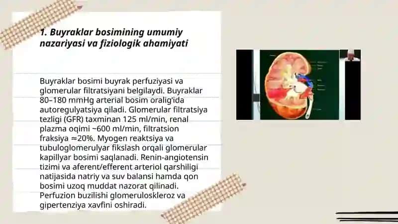 Buyraklar bosimi fiziologiyasi 3