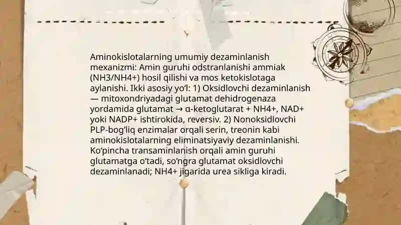 Aminokislotalarning dezaminlanishi transaminlanishi va dekarboksillanishi 3