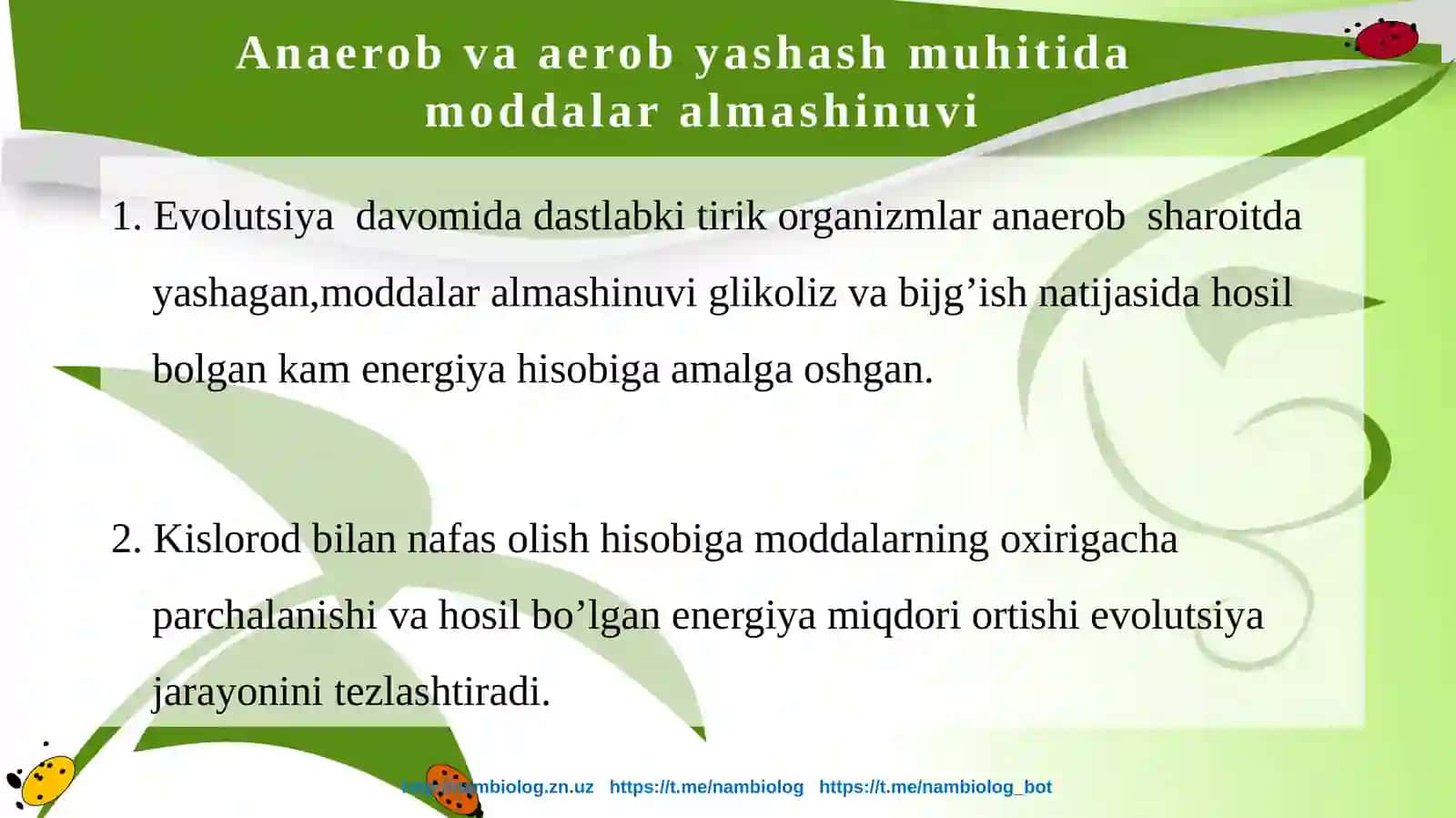 11-sinf Biologiya Hayvonlarning nafas olish organlari evolutsiyasi dars ishlanma 3