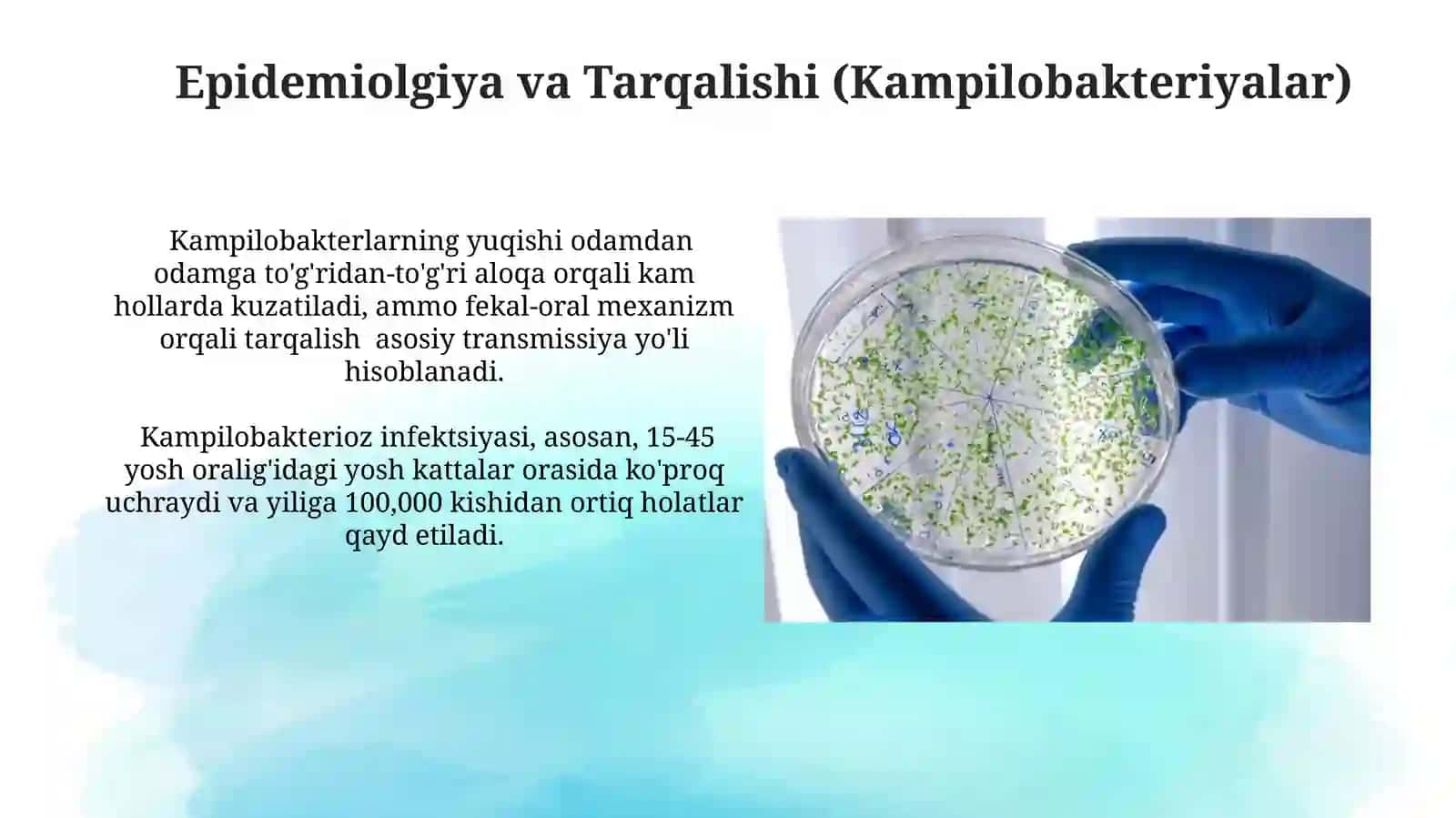 Kampilobakteriyalar, helikobakteriyalar va ularning amaliyotdagi ahamiyati 3