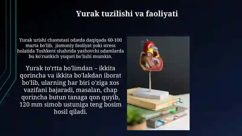 Qon aylanish sistemasi maktab darsligi boyicha 3