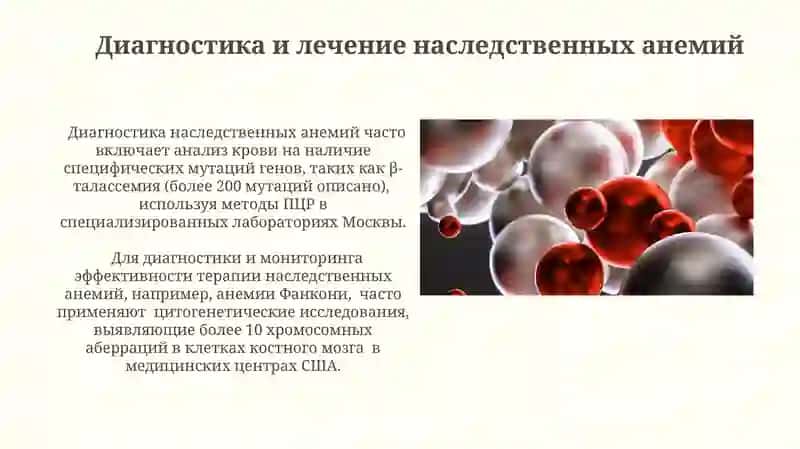 Генетические анемии и механизмы развития 3