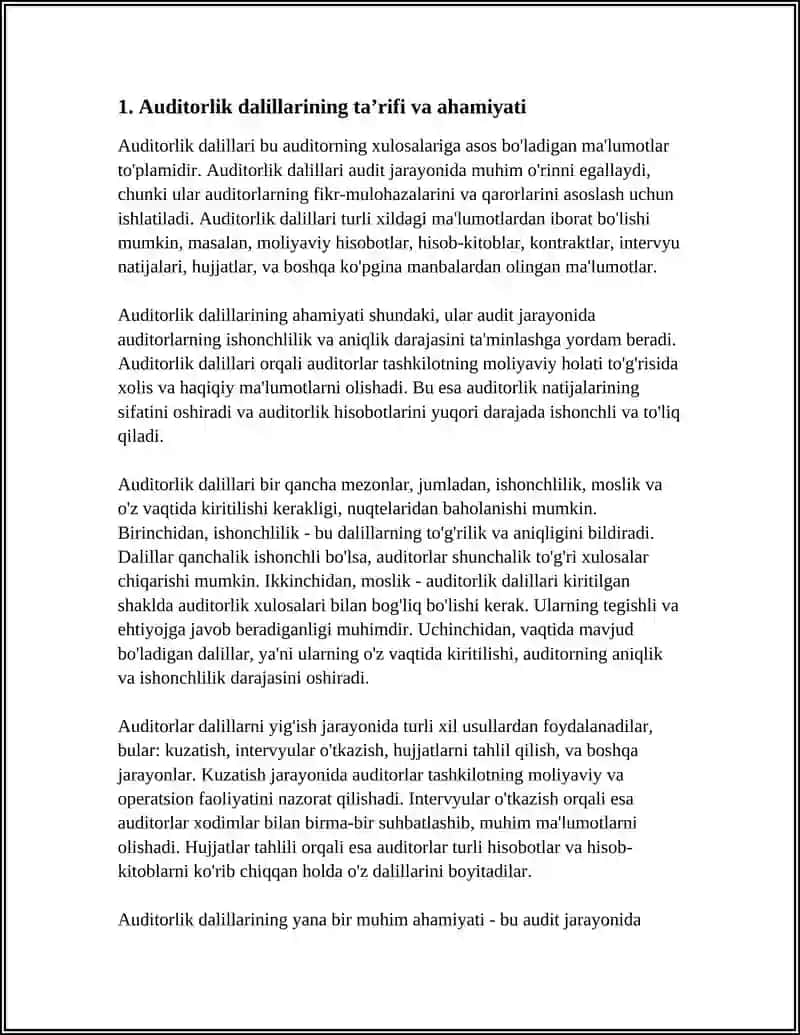 AUDITORLIK DALILLARI 3