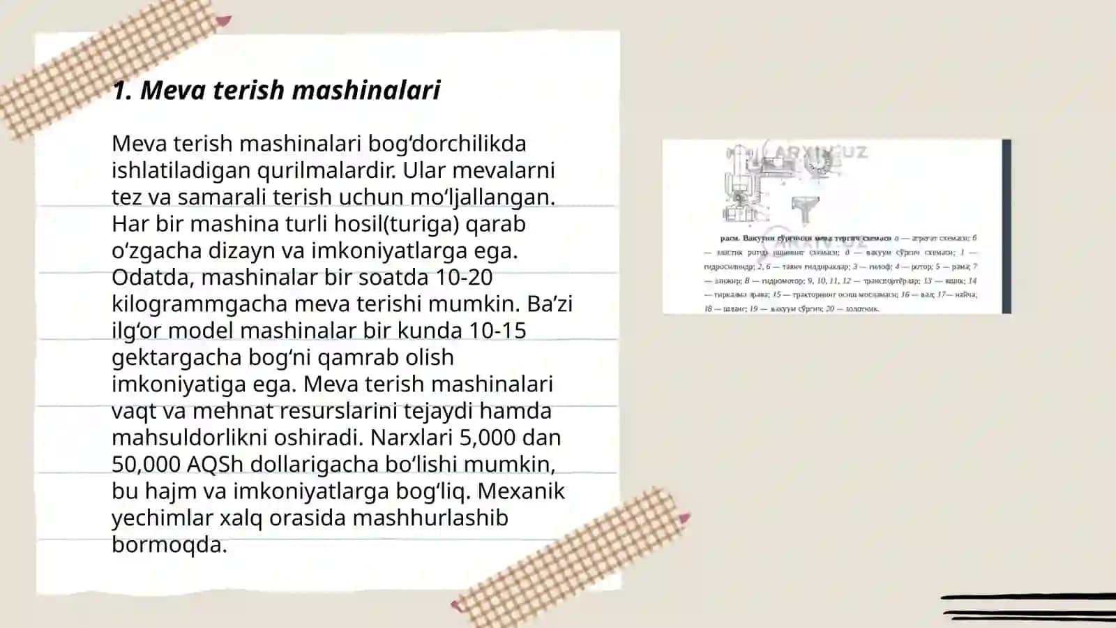 Meva terish mashinalari 3