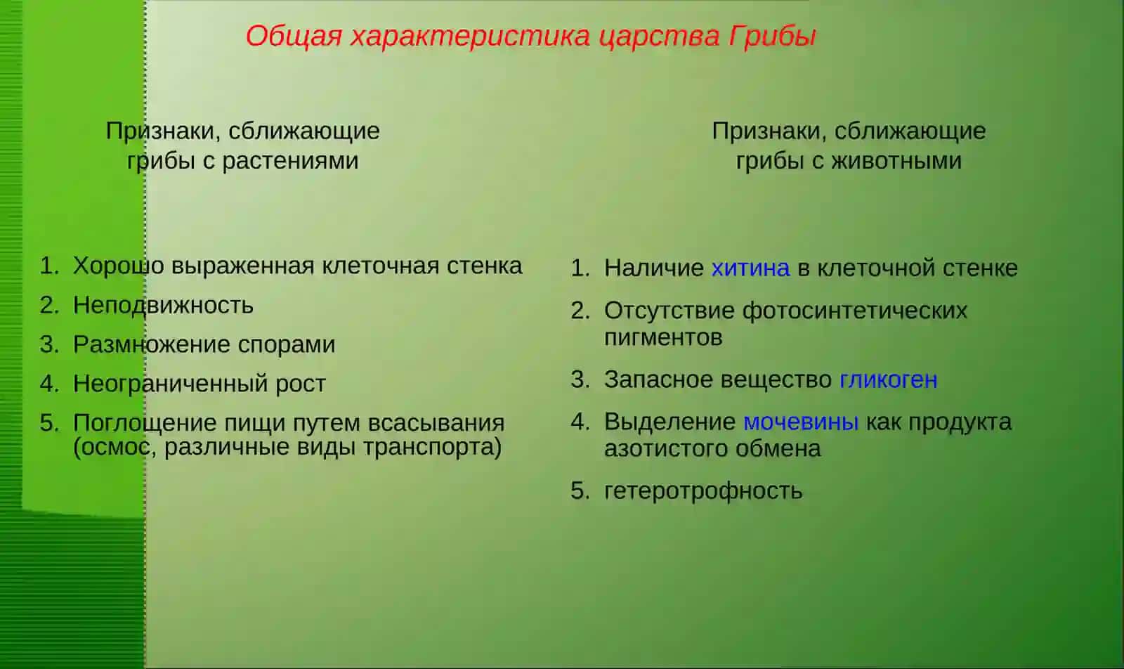 Общая характеристика царства грибы 3