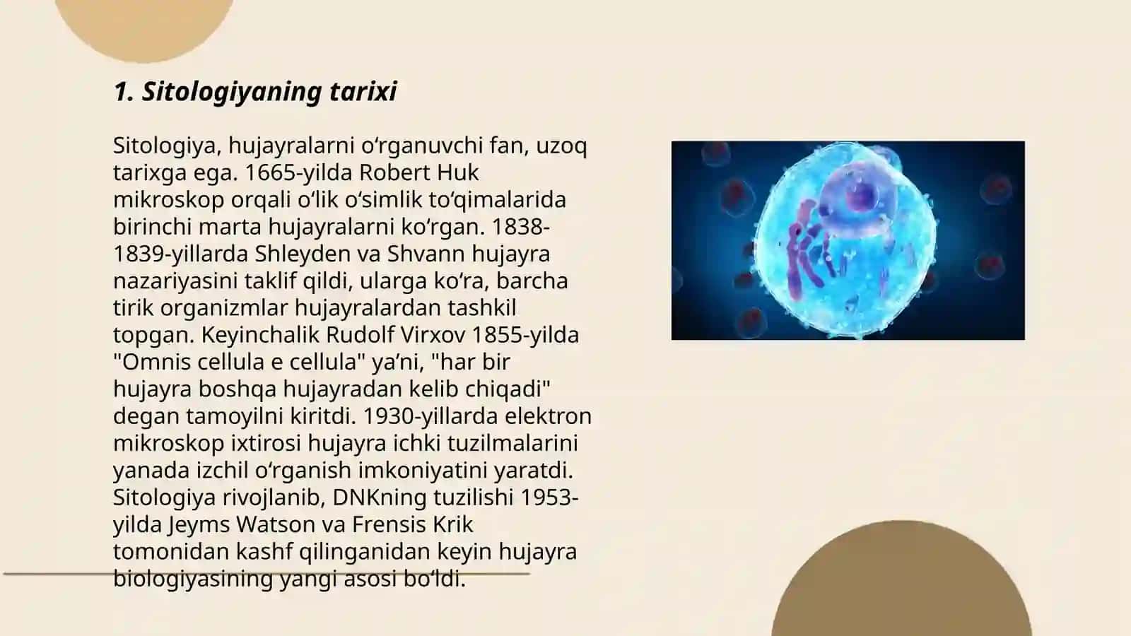 Sitologiya 3