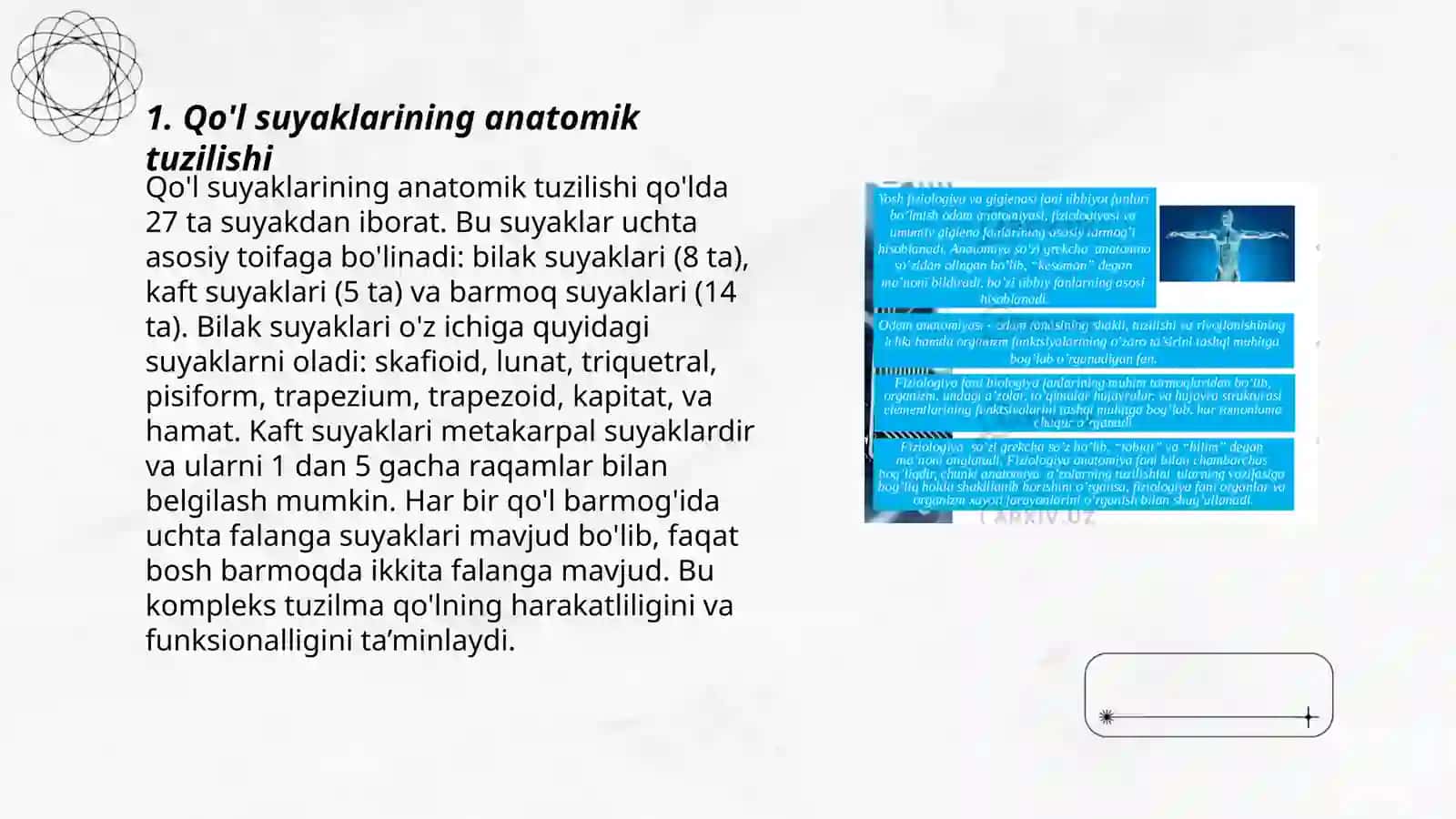 Qo'l suyaklarining variantli anatomiyasi, rivojlanish nuqsonlari. Qo'l suyaklarining rivojlanishiga ichki va tashqi faktorlarning ta'siri 3
