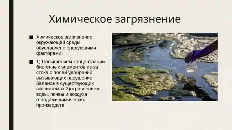 Региональные экологические проблемы и их роль в химии 3