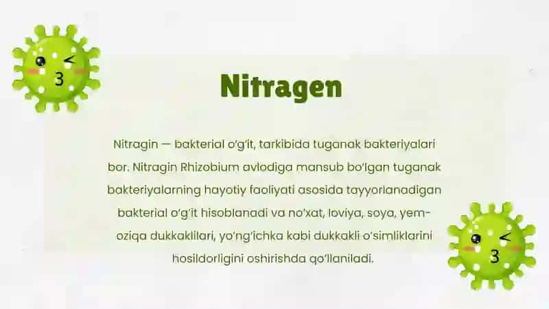 Nitragen preparatini olish texnologiyasi 3