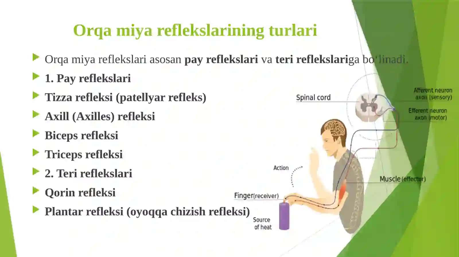 Orqa miya reflekslarini, faol diqqat, ixtiyoriy harakat tezligi, aqliy ishchanlik qobiliyatlarini aniqlash 3