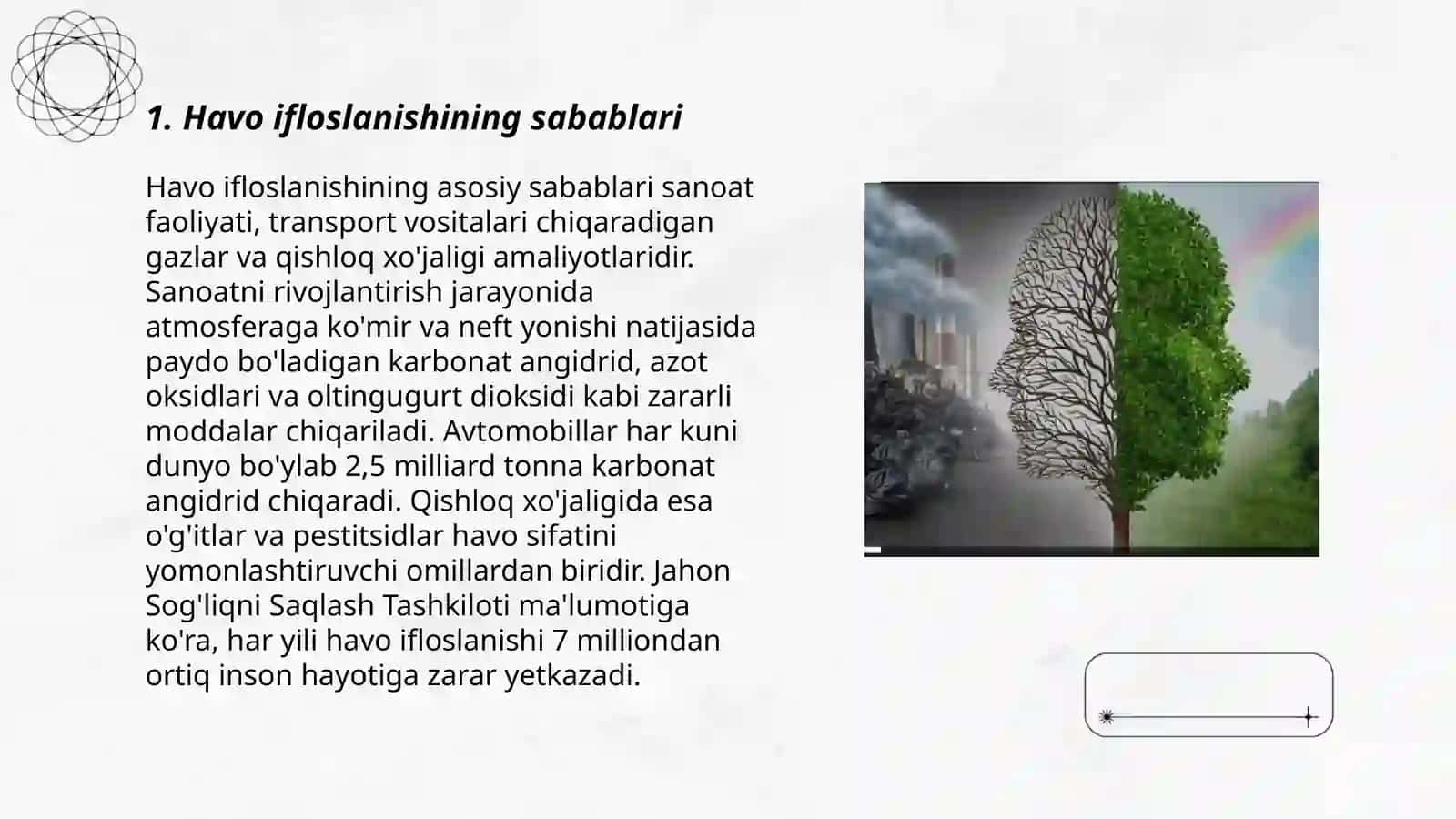 O'zbekiston atmosferasini muhofaza qilish muammolari va yechimlari 3