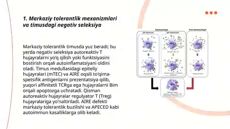 Immunologik tolerantlik nuqsonlari. Autoimmun xastaliklar 3