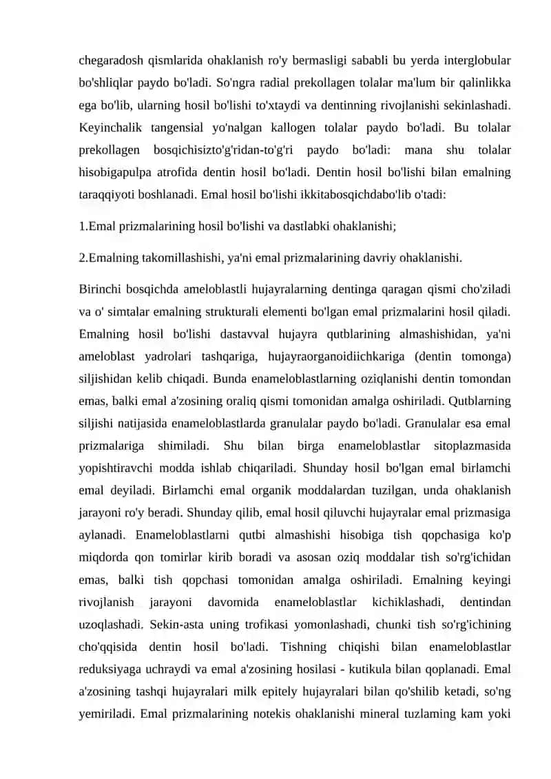 Doimiy tishlovdagi  frontal guruh  tishlarining tuzulishi 3