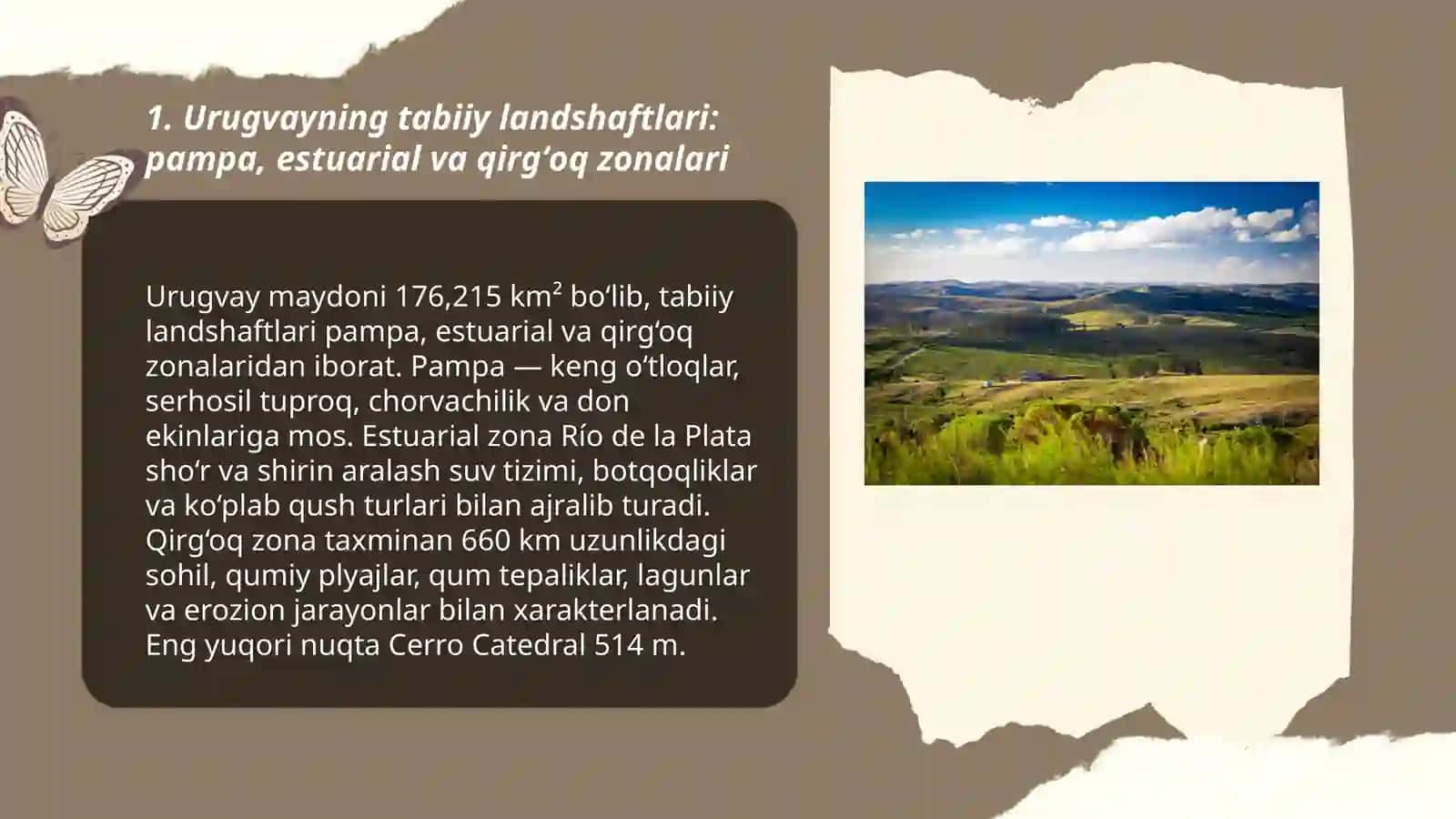 Urugvay ekologiyasi, ekoturizmi va ekologik muammolari 3