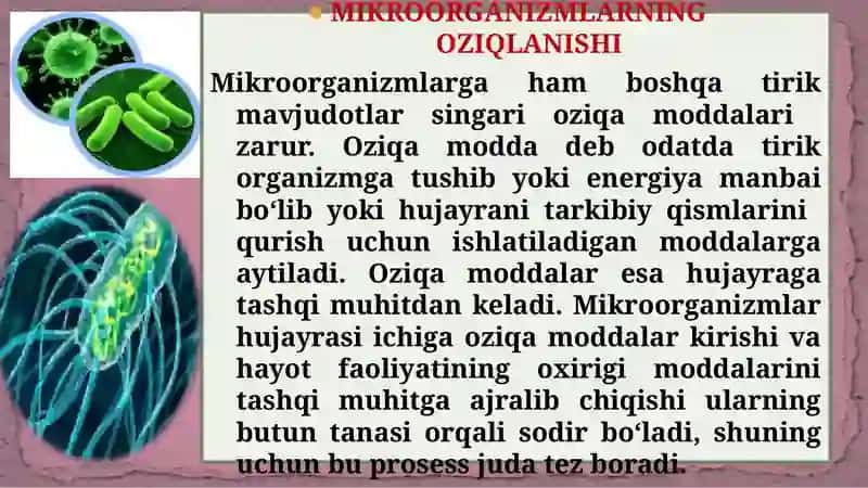 Mavzu:Mikroorganizmlar fiziologiyasi 3