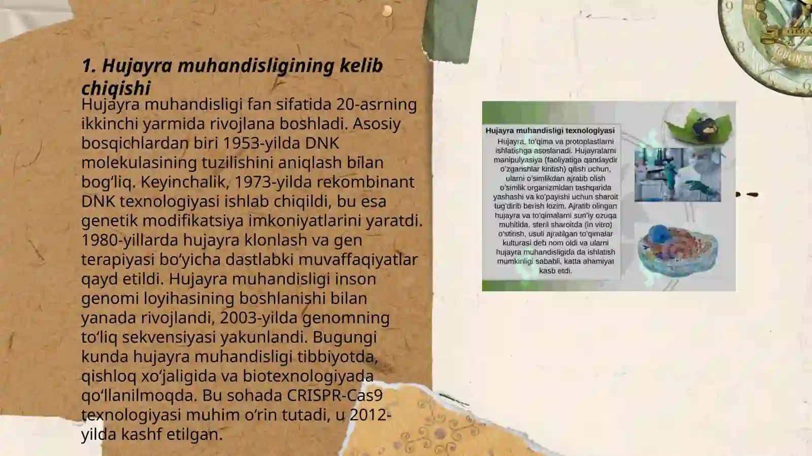 Hujayra muhandisligining mohiyati va vazifalari 3