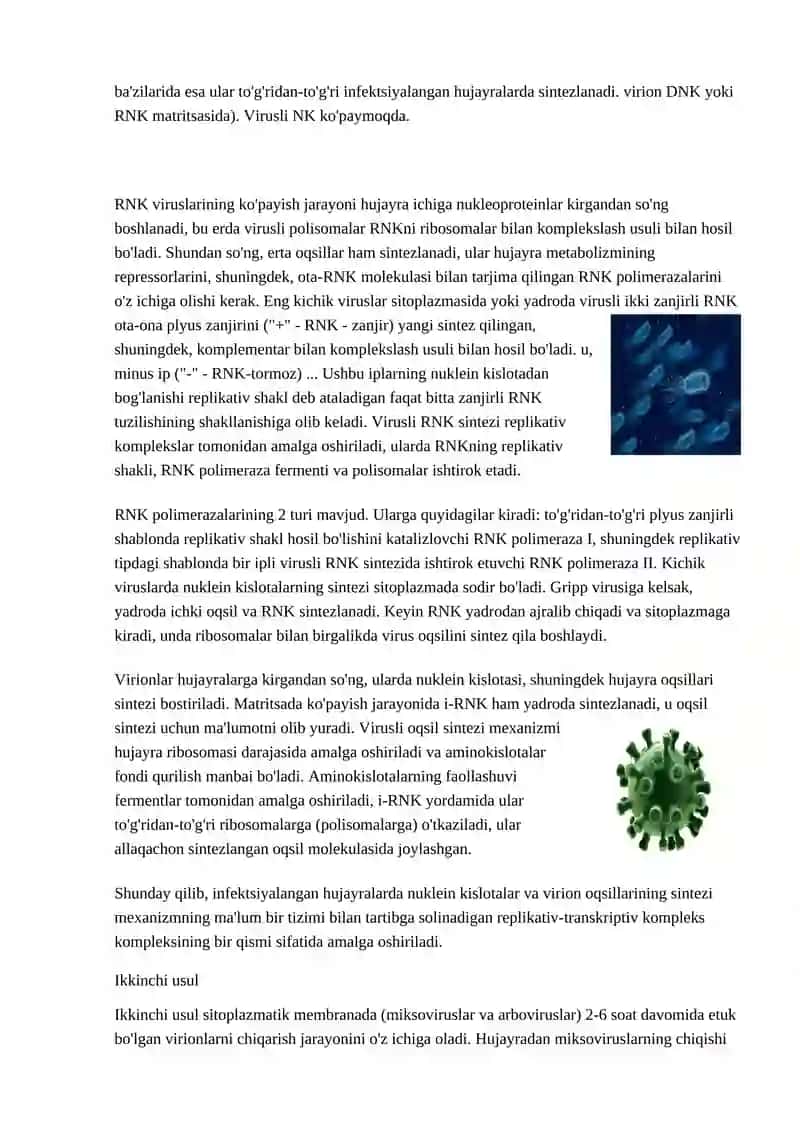 VIRUS DNKSI VA RNKSI SINTEZI LOKALIZATSIYASI
Reproduksiya jarayoni 3