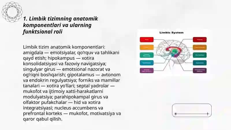 Limbik tizim fiziologiyasi 3