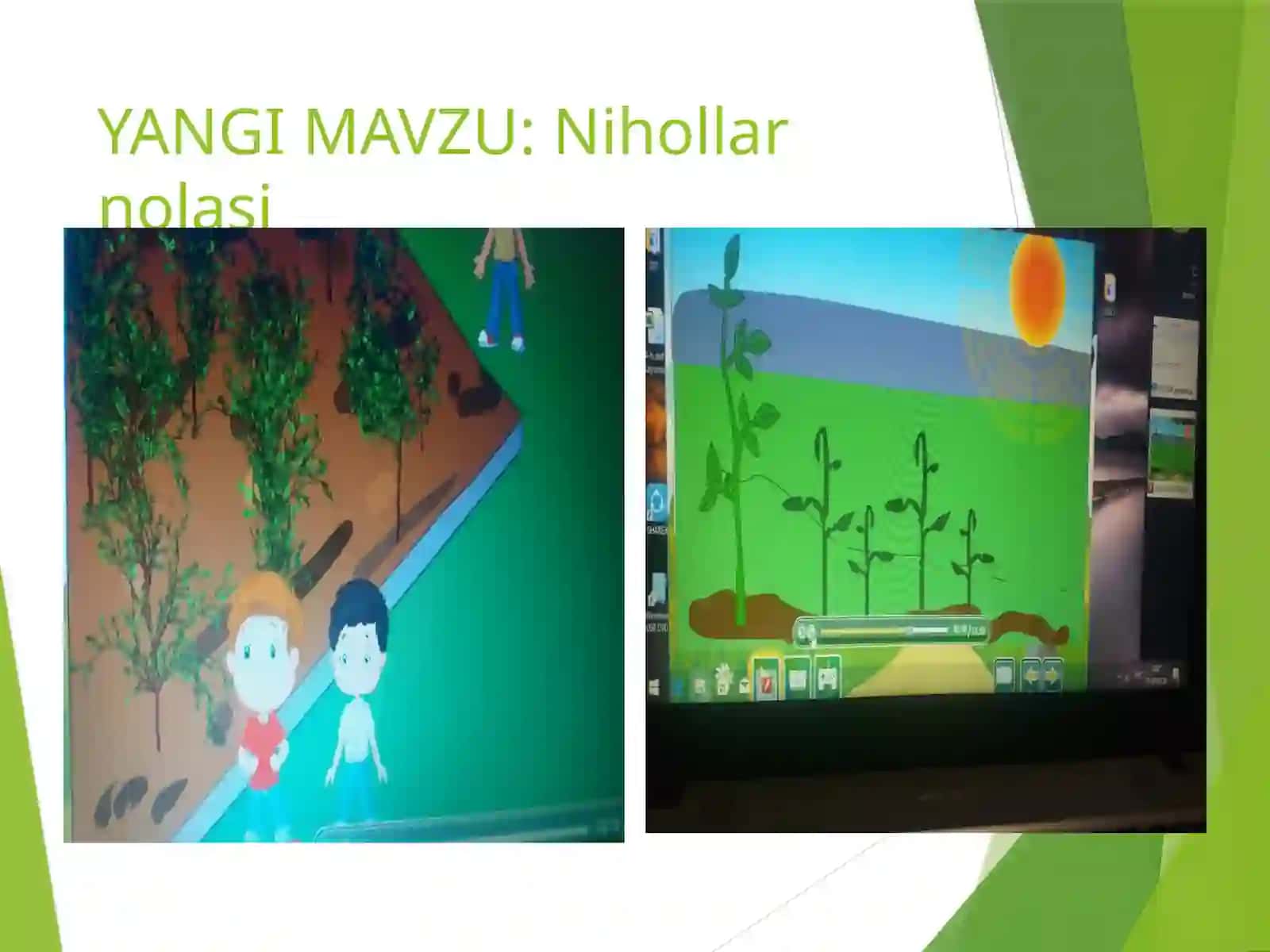 Boshlang'ich sinflar O'qish fanidan Nihollar nolasi dars taqdimoti 3