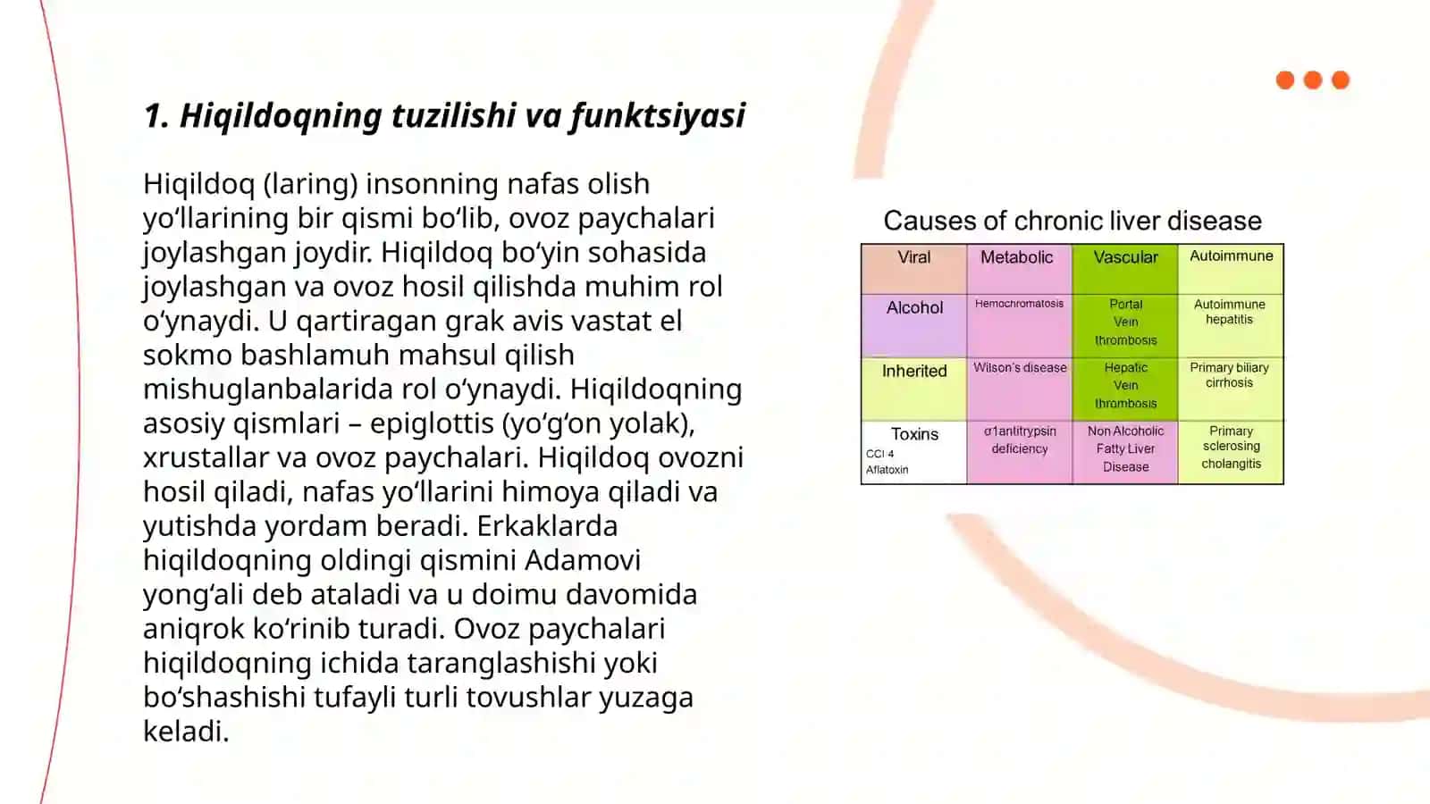 Hiqildoqning tuzilishi va funktsiyasi 3