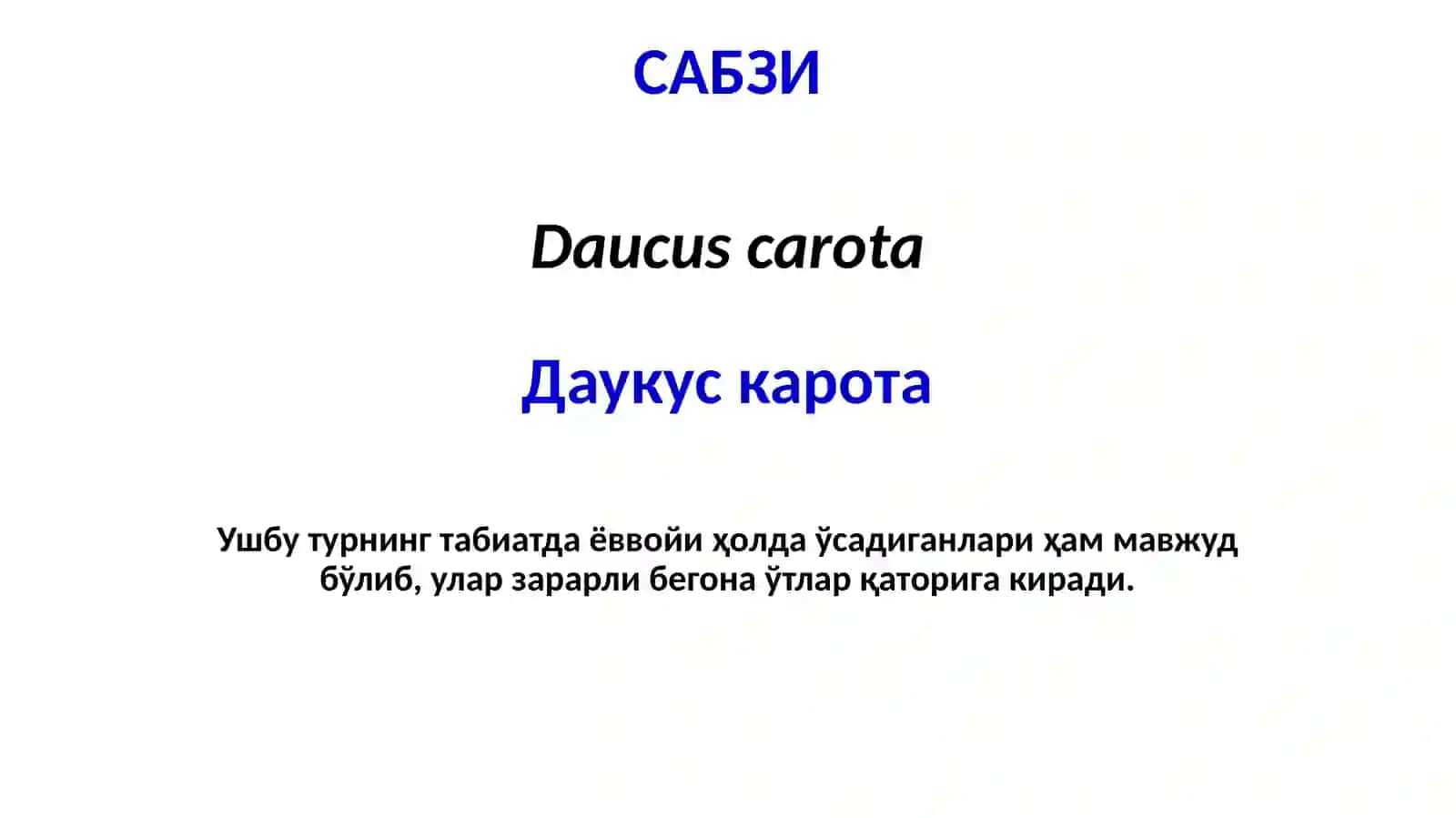 Сабзавот экинлари касалликлари хам қарши кураш чоралари 3