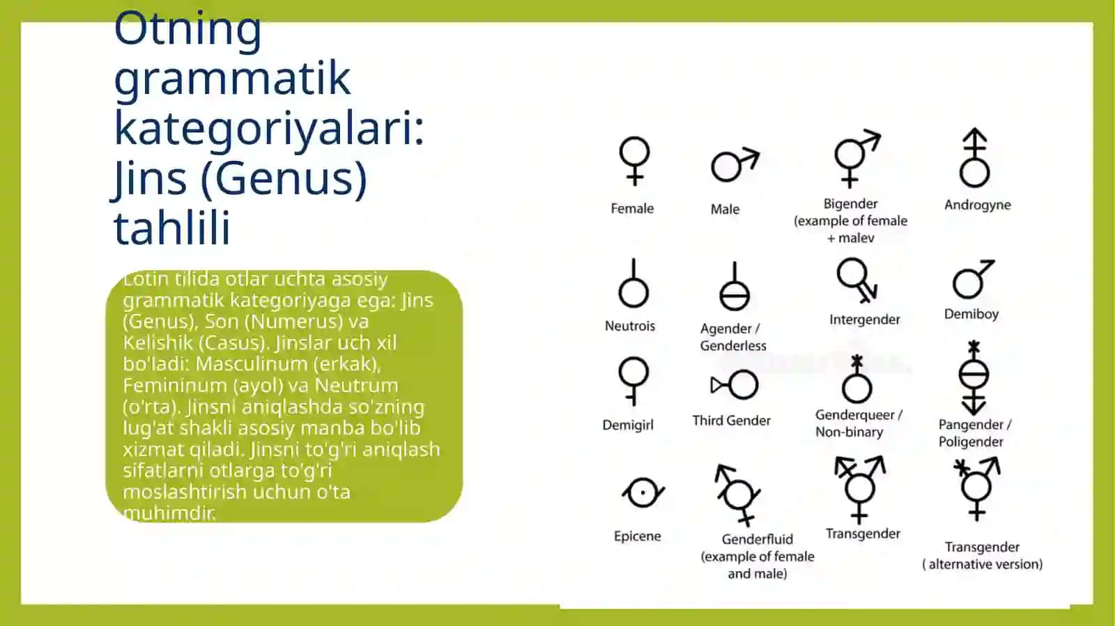 Lotin tilida . Ot. Otning grammatik kategoriyalari, lug'at shakli haqida tushuncha, otlarning turlanishi, negizini aniqlash 3