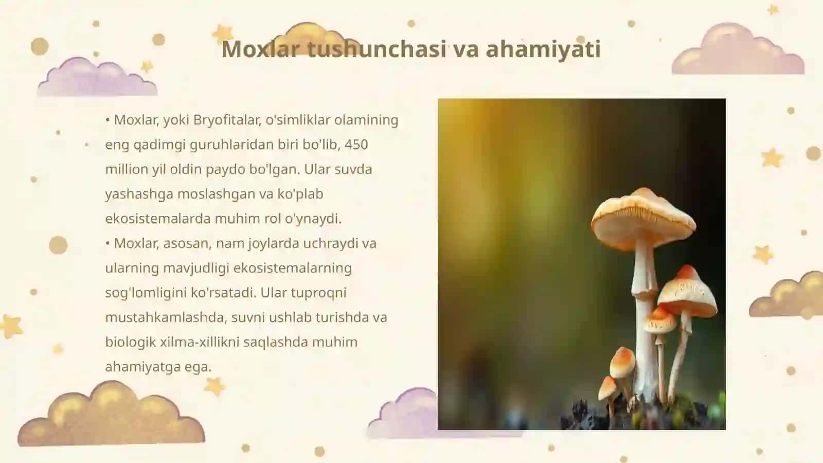 Moxlar boʻlimi haqida umumiy tushuncha, oʻziga xos belgilari, klassifikatsiyasi 3