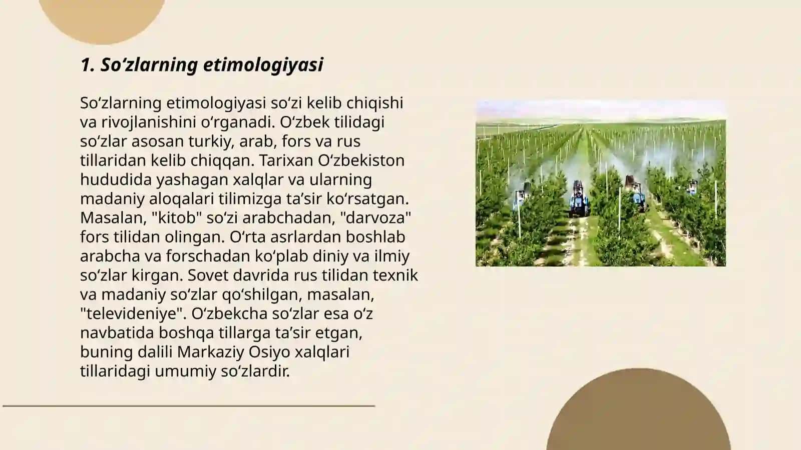 Lugʻat tarkibidagi soʻzlarning kelib chiqishi,ijtimoiy guruhlar tomonidan qo'llanilishi jihatidan tavsiflanishi 3