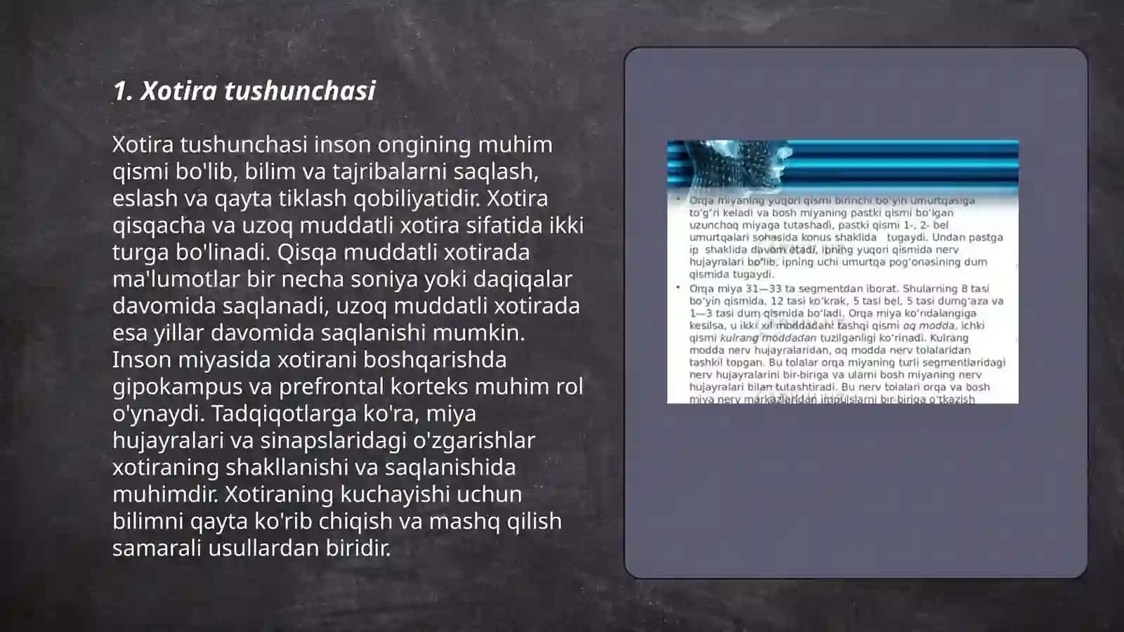 Xotira haqida tushuncha va nerv fiziologik asosi 3