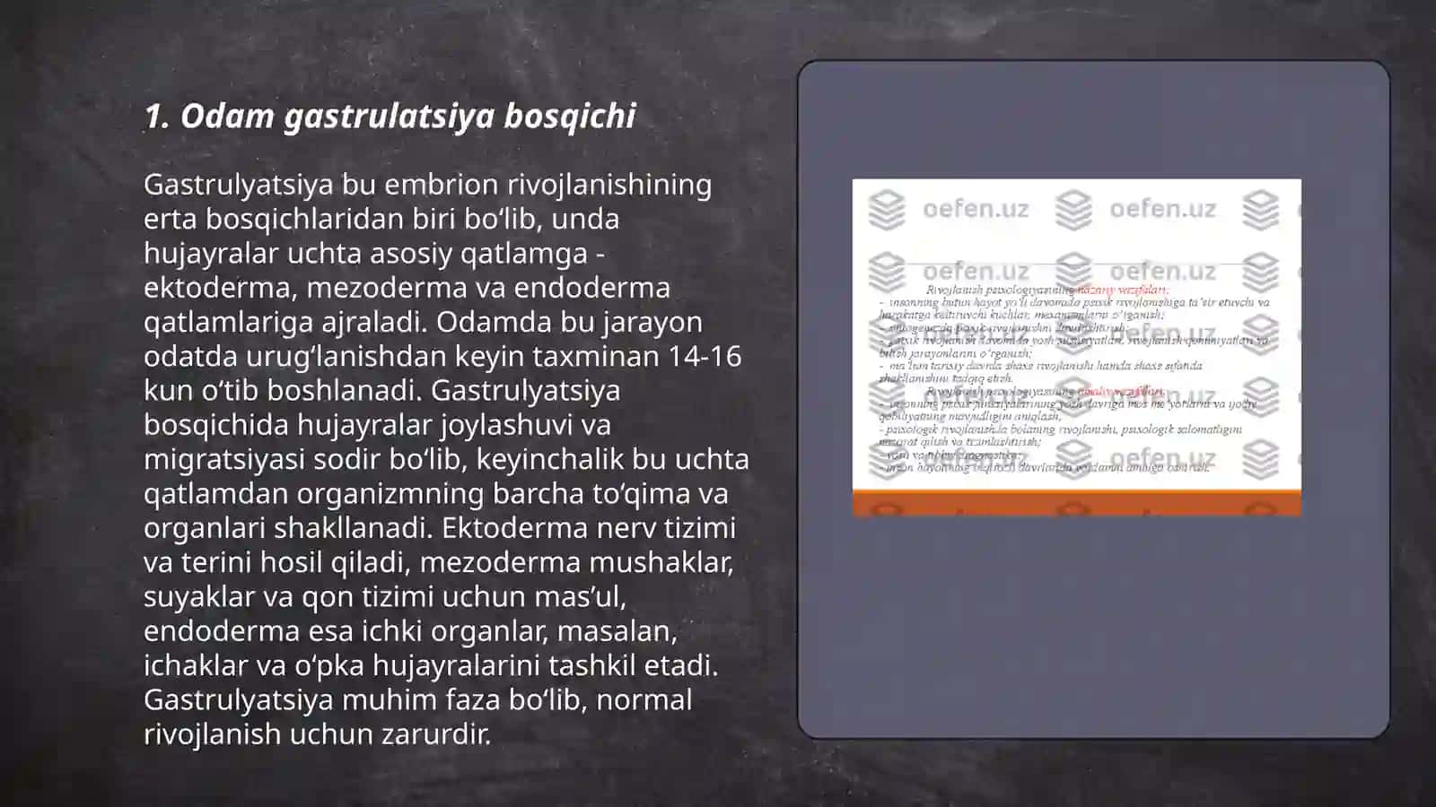 Odam embrogenezi rivojlanish bosqichlari gistalogiyasi 3