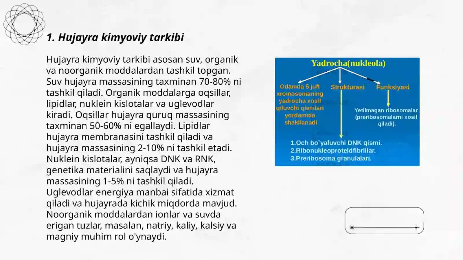 Hujayraning kimyoviy tarkibi 3