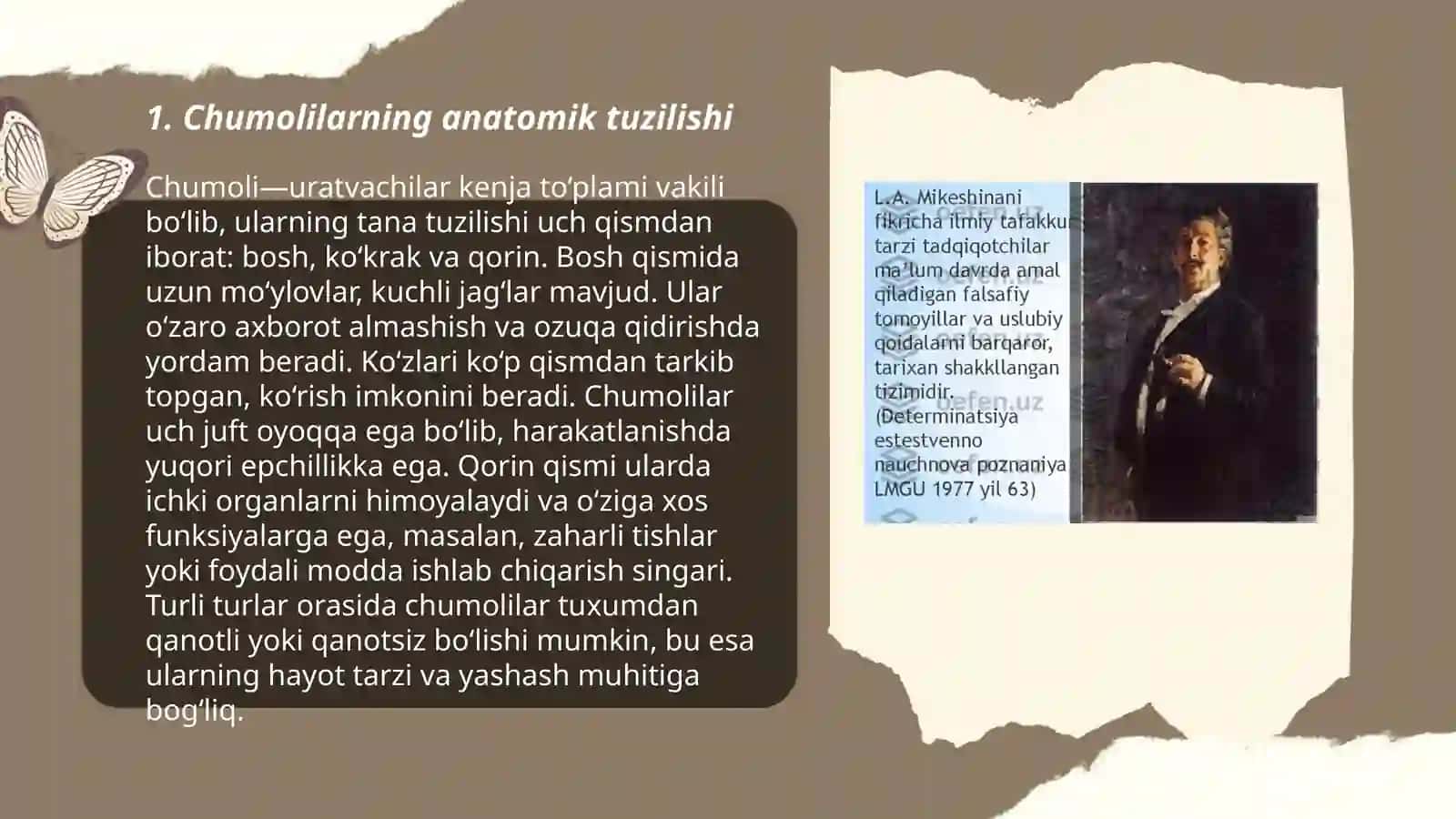 Chumolilarni tuzilishi, yashash tarzi va ahamiyati 3