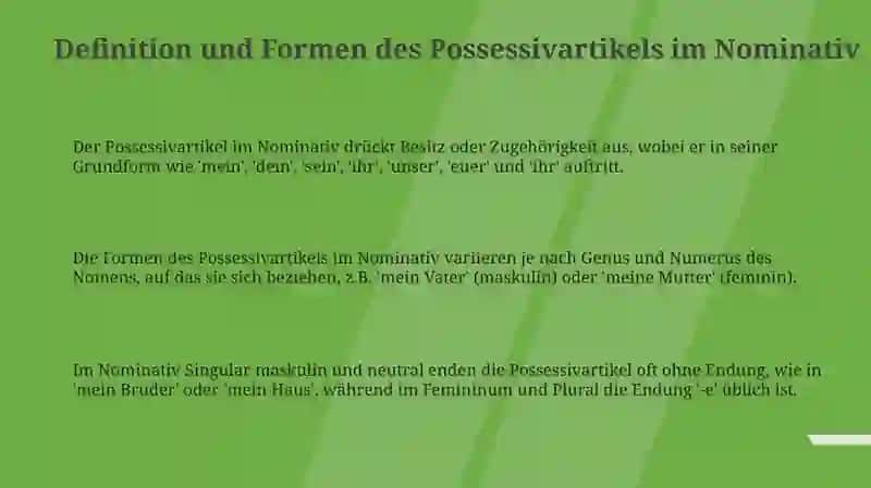 Possessive artikel im nominative 3