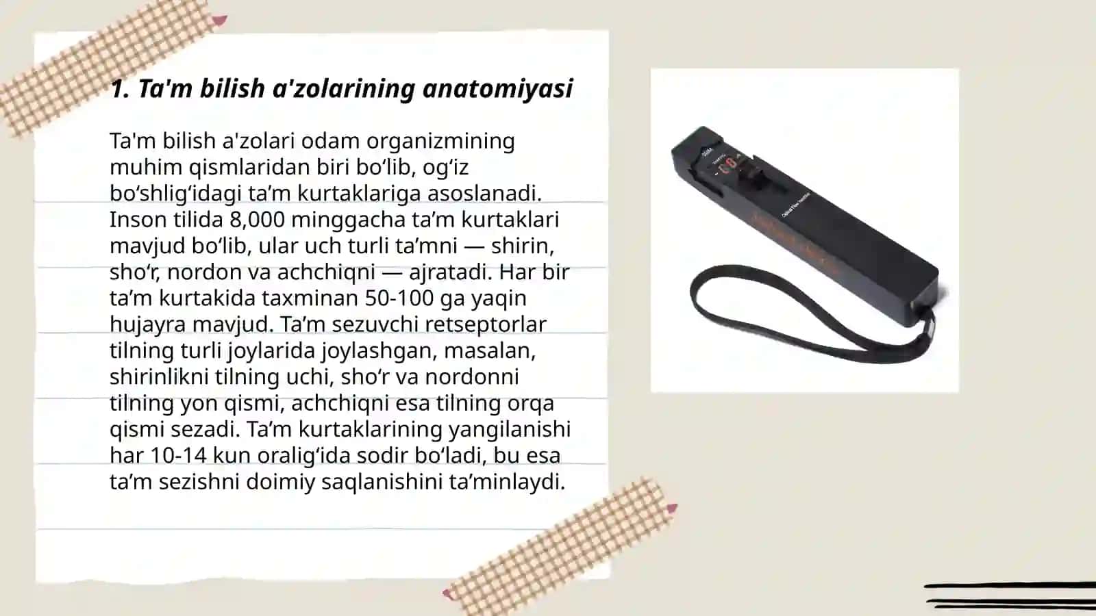 Ta'm bilish a'zosining morfo-funksional tovsifi 3