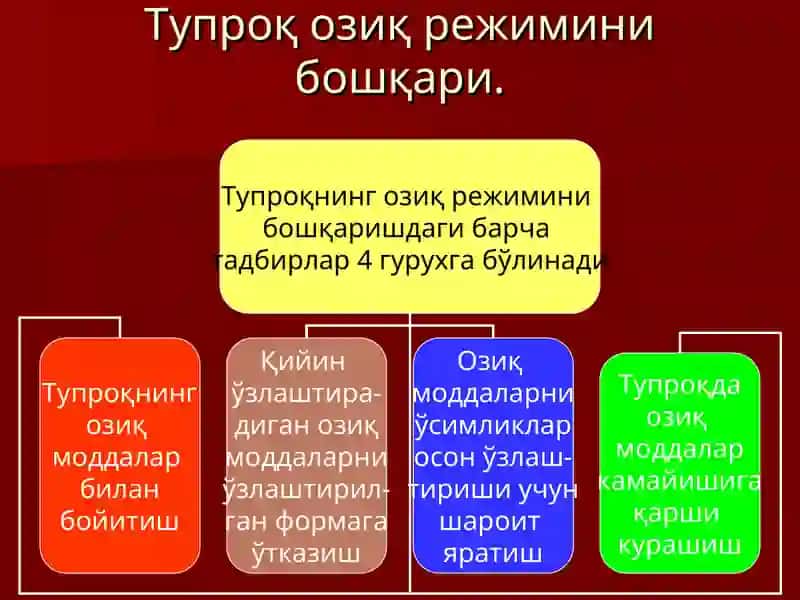 Тупроқнинг озиқ режими ва уни бошқариш уссулари 3